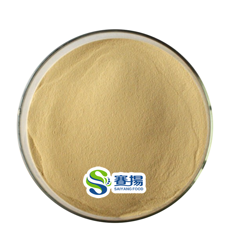 High Quality Transglutaminase Enzyme TG Food