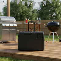 Réfrigérateur électrique portable avec roues, barre de traction rétractable, réfrigération thermoélectrique, capacité de 30 L, utilisation en extérieur, en voiture