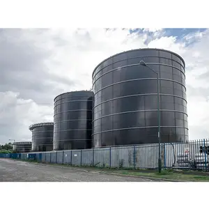 Sistema di digestore della fossa settica del Biogas piccolo 100 m3