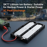 Batterie Li-Polymère en Gros SK80 SK60 SK77 77.7Ah 70Ah Soft Pack 3.7V pour Véhicules Électriques et Stockage d'Énergie - Cellules Lithium Pouch