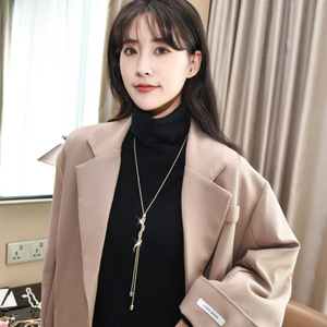 Moda çok yönlü sonbahar kış uzun yılan kolye kadınlar için kişiselleştirilmiş benzersiz kazak zinciri takı - Product Image 5