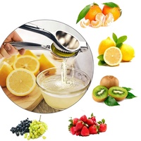 Groothandel Keuken Gadgets Fruitgereedschap Handmatige RVS Citroen Schilmes Citruspers Citroenpers Handmatige Citruspers