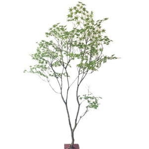 Alberi Artificiali Personalizzati di Acero Rosso e Verde, Grandi, per Paesaggistica, OED/ODM, Semi-Manuali, per Esposizione - Product Image 5