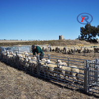 Panneaux résistants de barrière en métal de bétail de 16 pieds panneaux de corral de bétail de ferme de haute résistance