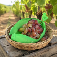 Sacs d'emballage pour fruits non tissés sur mesure en gros – Sacs durables pour raisins/melon Hami pour supermarché