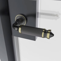 Portes en aluminium aspect acier sur mesure, portes de séparation à grille noire, manuelles, isolées thermiquement, étanches, insonorisées, double vitrage à pont thermique brisé