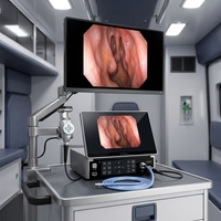 Système de caméra d'endoscopie Full HD avec moniteur pliable de 13,3 pouces et source de lumière LED intégrée