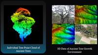 GreenValley LiDAR360 V9, Procesamiento de Nubes de Puntos con IA de Vanguardia para Segmentación de Árboles Individuales, ALS, ULS, MLS, BLS, HLS, TLS