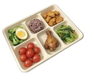 Barquette alimentaire biodégradable en canne à sucre, compatible micro-ondes, écologique, en bagasse, jetable, avec cinq compartiments pour buffet