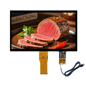 Oem 10.1-inch 1024*600 HDM/RGB/LVDS/mipi giao diện Thin-Film Transistor tinh thể lỏng 10.1 cảm ứng điện dung mô-đun màn hình - Product Image 6