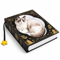 Tempat Tidur Kucing dari Karton Bergelombang Bebas Serpihan dengan Sampul Buku Cetak Emas dan Gantungan Mainan Bintang untuk Kucing Kecil