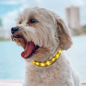 Venta al por mayor <span class=keywords><strong>Collar</strong></span> para mascotas <span class=keywords><strong>Collar</strong></span> de perro de poliéster suave recargable con luz LED brillante para perros pequeños y gatos Seguridad nocturna - Product Image 3