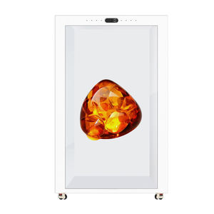 หน้าจอ LED โปร่งใสขนาด 21.5 นิ้ว ระบบสัมผัส 10 จุด ป้ายดิจิทัลและจอแสดงผล - Product Image 1