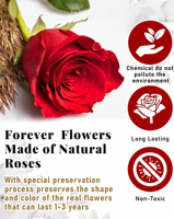 Boîte en forme de cœur avec 16 roses éternelles - Vraies roses non parfumées - Cadeau pour anniversaire, fête des mères, pour femme