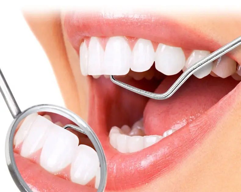 7 Uds. De palillos de limpieza de dientes de Metal plateado portátiles reutilizables, palillos de dientes de acero inoxidable para dientes