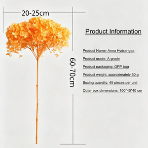 Flor de Hortensia Seca Más Popular para Decoración <span class=keywords><strong>del</strong></span> Hogar, Precio de Fábrica, Material DIY, Regalo <span class=keywords><strong>Inmortal</strong></span> para el Día de la Madre y San Valentín - Product Image 4