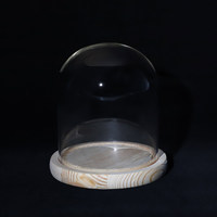 Cloche en verre Cloche Dôme avec plateau en bois de bambou Pièce maîtresse décorative DIY Cloche en verre de table Cloche Dôme en vente
