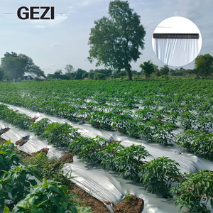 Film de paillage agricole en polypropylène (PP) non tissé biodégradable, <span class=keywords><strong>anti</strong></span>-roussissement, avec trous, noir, pour l'agriculture - Product Image 5