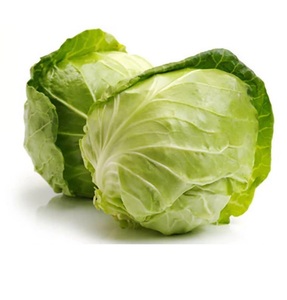 Repollo Fresco de Alta Calidad, Producto Agrícola para Servicios de Alimentación Comercial, Mercados Mayoristas y Suministro de Ingredientes para Cocina - Product Image 2