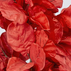 Planta Artificial de Croton Rojo, Planta Decorativa en Maceta de Tacto Real para Decoración de Interiores en Hogar, Oficina, Hotel y Eventos - Product Image 5