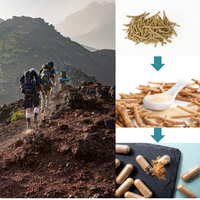 Extrait d'Ashwagandha pour la récupération sportive et la croissance musculaire, complément d'Ashwagandha OEM, extrait de racine d'Ashwagandha