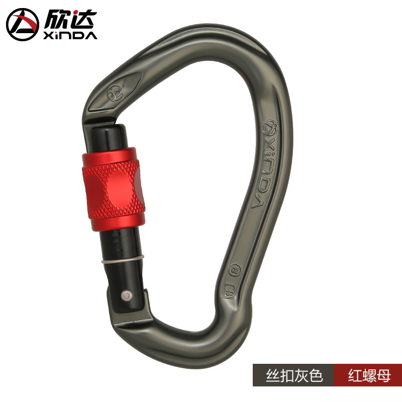 Noix filetées gris-vert