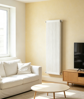 Radiateurs modernes pour installation domestique, radiateur mural en acier, chauffage de pièce, chauffage hydronique sur mesure, systèmes CVC pour hôpitaux