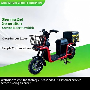 Exportaciones de Vehículos Eléctricos: Bicicletas Eléctricas para Subir Colinas, Entrega de Carga, E-Bikes de Largo Alcance, Motocicletas de 800W 6072V de Gran Autonomía - Product Image 1