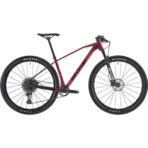 J Single Speed Aluminium Pakistan Mountainbike Fiets Maat 30 Mountainbikes