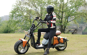 Citycoco-ciclomotor eléctrico, 3000W, Eec Coc City - Product Image 6