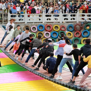 Basso investimento pazzo attrezzature di intrattenimento per adulti e per bambini gioco attraente fiera parco gioco <span class=keywords><strong>giostre</strong></span> oscillare ponte - Product Image 5