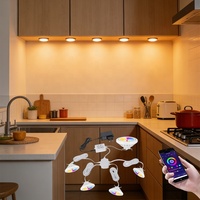 Kit de projecteurs connectés Smart Tuya AR111, contrôle par application, base G53, RGB, changement de couleur, dimmable, downlight COB pour cuisine, hôtel