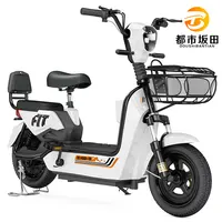 Electric Bicycle with Fat Tire, 14 inch, 350 W, 48 V, Cheap