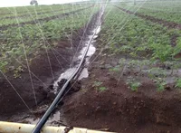 Rainstar Kit complet 1 Hectare de tuyaux micro-pulvérisateurs en PE réglables pour l'irrigation agricole, tuyau d'irrigation goutte à goutte