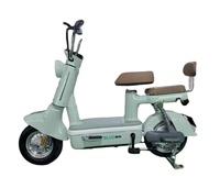 Vélo électrique urbain 500W 48V, cadre en acier 14 pouces, 2 roues, batterie au plomb-acide, moteur à moyeu arrière, panier avant
