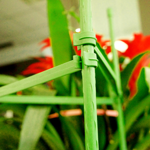 Cage de protection pour arbre à fleurs, bras de piquet de jardin, Kit de Cage à tomates en plastique inversé et extensible de 3 pieds - Product Image 6