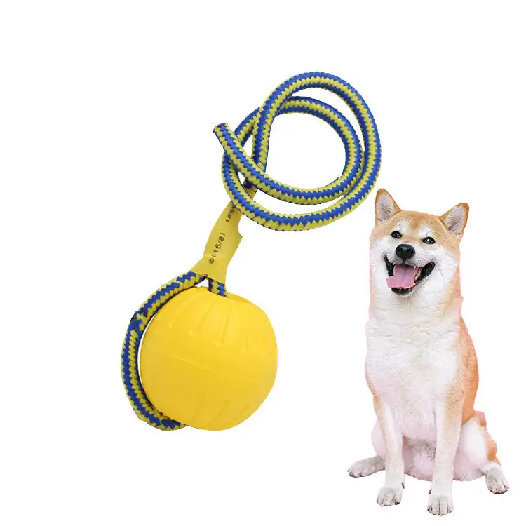 Vente chaude en toute sécurité produit pour animaux de compagnie en plein air chien à mâcher formation interactive jouets pour animaux de compagnie balle de chien flottant lanceur de balle de chien