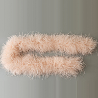 Boas en plumes d'autruche teintes sur mesure à 8 couches, directement de l'usine, décorations en plumes pour costumes de scène, de danse et tenues de carnaval