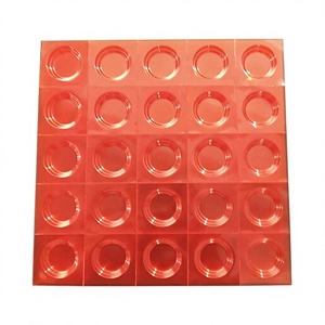 Plateau alvéolé thermoformé sous vide en PVC avec poignée ergonomique, emballage écologique pour comprimés et capsules - Product Image 1