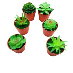 Plantes succulentes artificielles en pot, mini décorations en PVC souple pour la maison, le bureau, ensemble de 6 pièces - Product Image 4