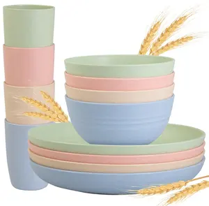 Vaisselle en paille de blé Offre Spéciale ensemble de 12 pièces ensemble de vaisselle de pique-nique en plein air de Style japonais ensemble de vaisselle boîte brune minimaliste