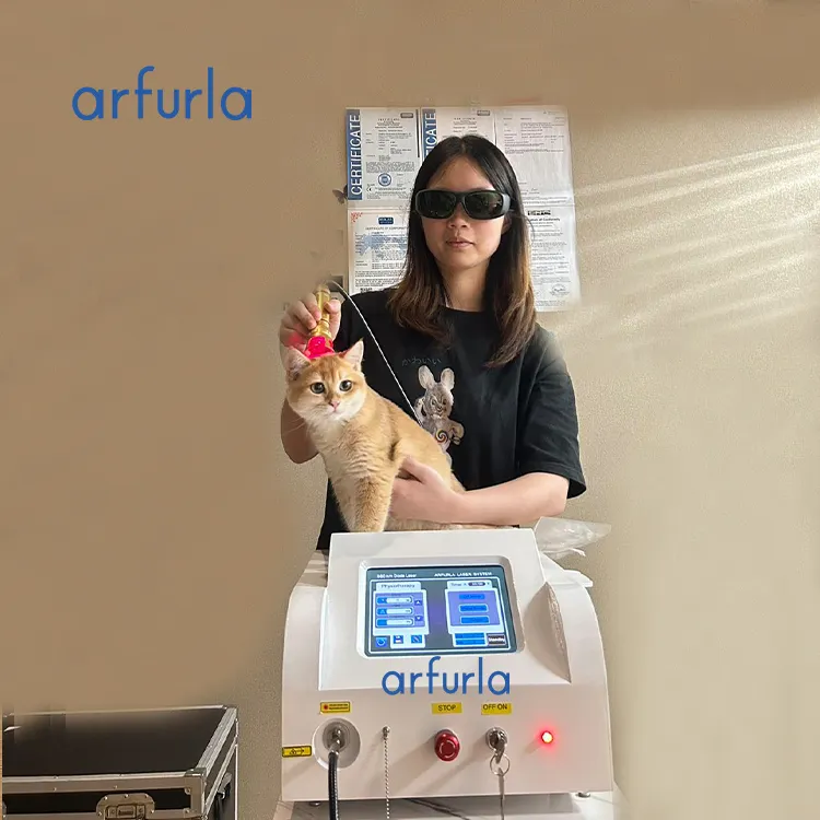 Laser do diodo para a terapia gato cão hiperplasia prostática próstata cirurgia veterinária laser dispositivo