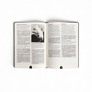 Servicio de Impresión de Libros de Fotos de Cartón Ecológico Personalizados de Lujo, Tapa Dura, Acabado Brillante, Estampado en Caliente Plateado, para Viajes - Product Image 5