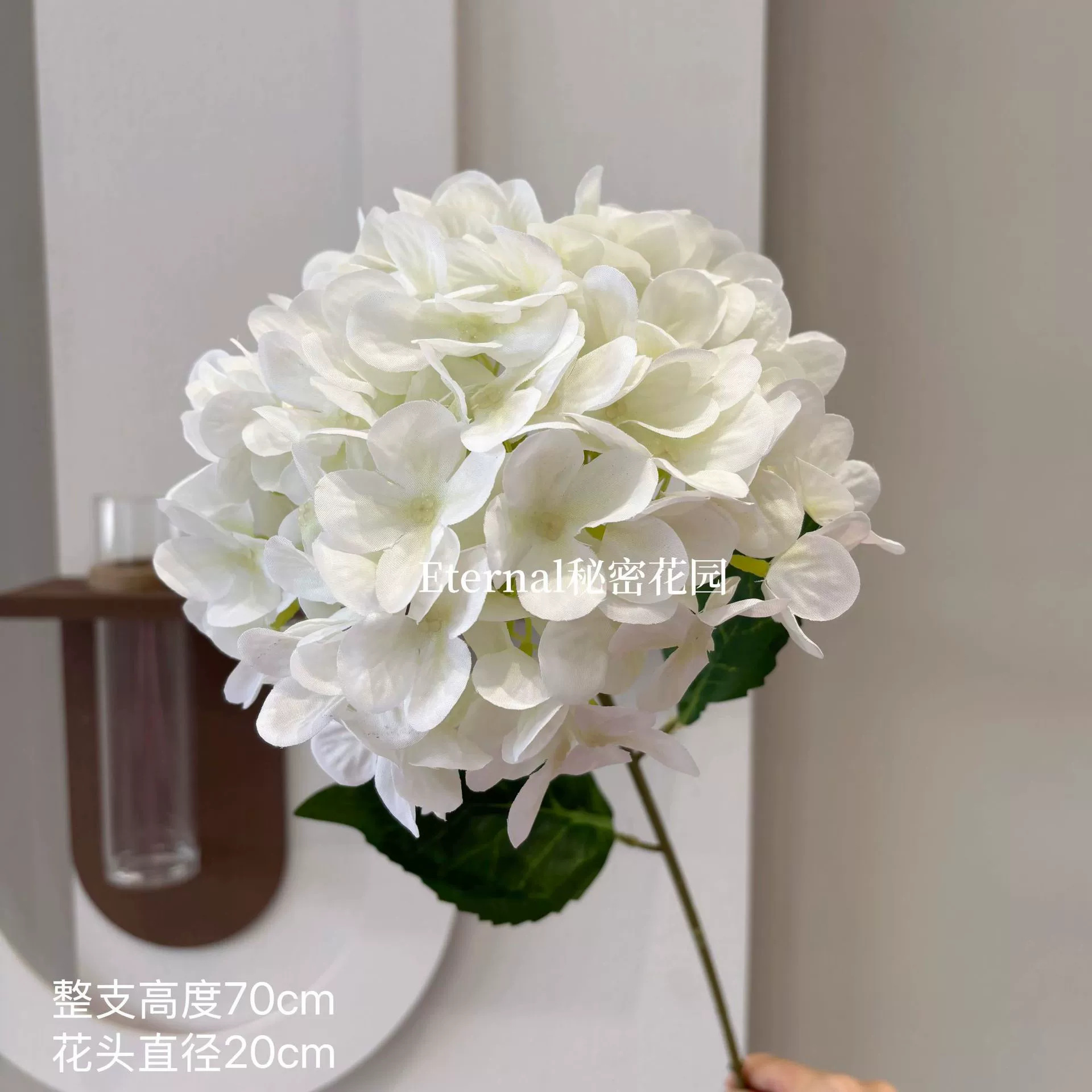 Bella hortensia