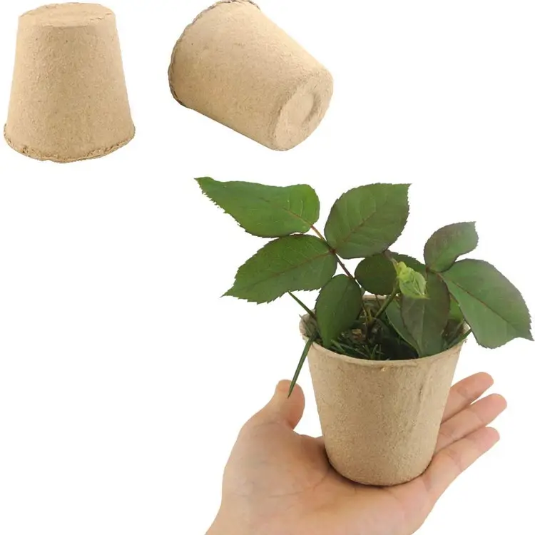 Vaso de papel biodegradável, semente descartável, vaso redondo para flores partidas e ervas vegetais