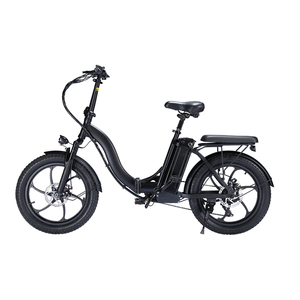 2023 pologne nouveauté 48V 10Ah batterie e-bike 350 Watt moteur pédale Assistant vélos électriques avec siège - Product Image 5