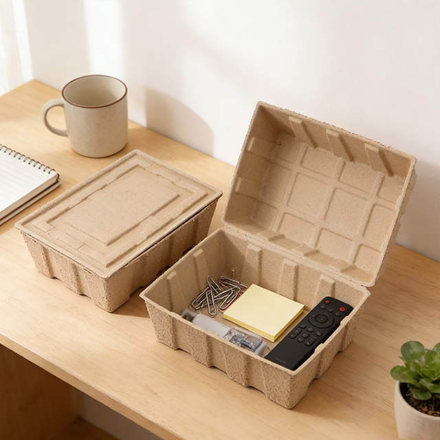 Plastic-Free Pulp Storage Box for Europe 100% Biodegradable Molded Pulp Organizer Certified Sustainable Packaging Box