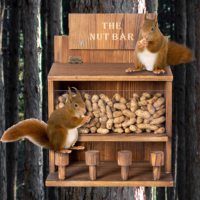 Station d'alimentation durable pour écureuils avec plateau à noix - Table d'alimentation extérieure pour animaux sauvages pour le jardin
