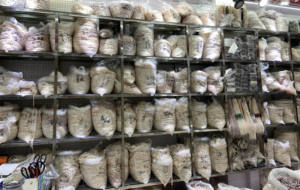 1.8-12mm לבן סגול ורוד צבע אמיתי סגלגל צורת רופף לבן מים מתוקים פנינים - Product Image 5