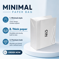 Achat en gros personnalisé de sacs en papier cosmétiques à main, sacs en papier d'emballage, matériaux écologiques, impression